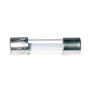 Regin Quick Blow Glass Fuse - 20mm 1A (3) REGQ140