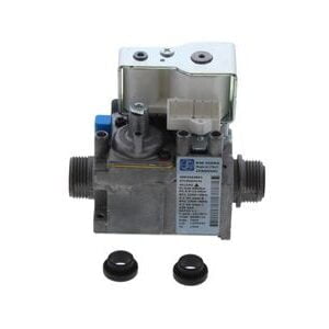 The Worcester Bosch Gas Valve 848 Sigma